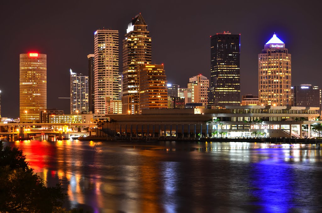 Tampa Skyline by Cyrus Harn