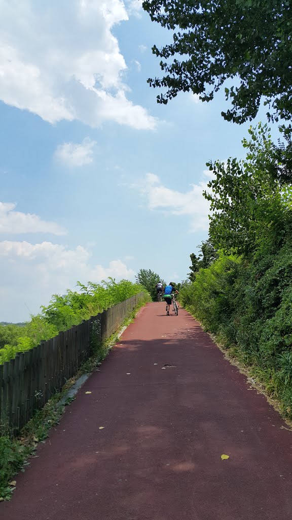 Tancheon walkway by Gosotopo