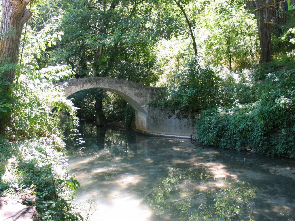 Little Bridge by George Marinescu