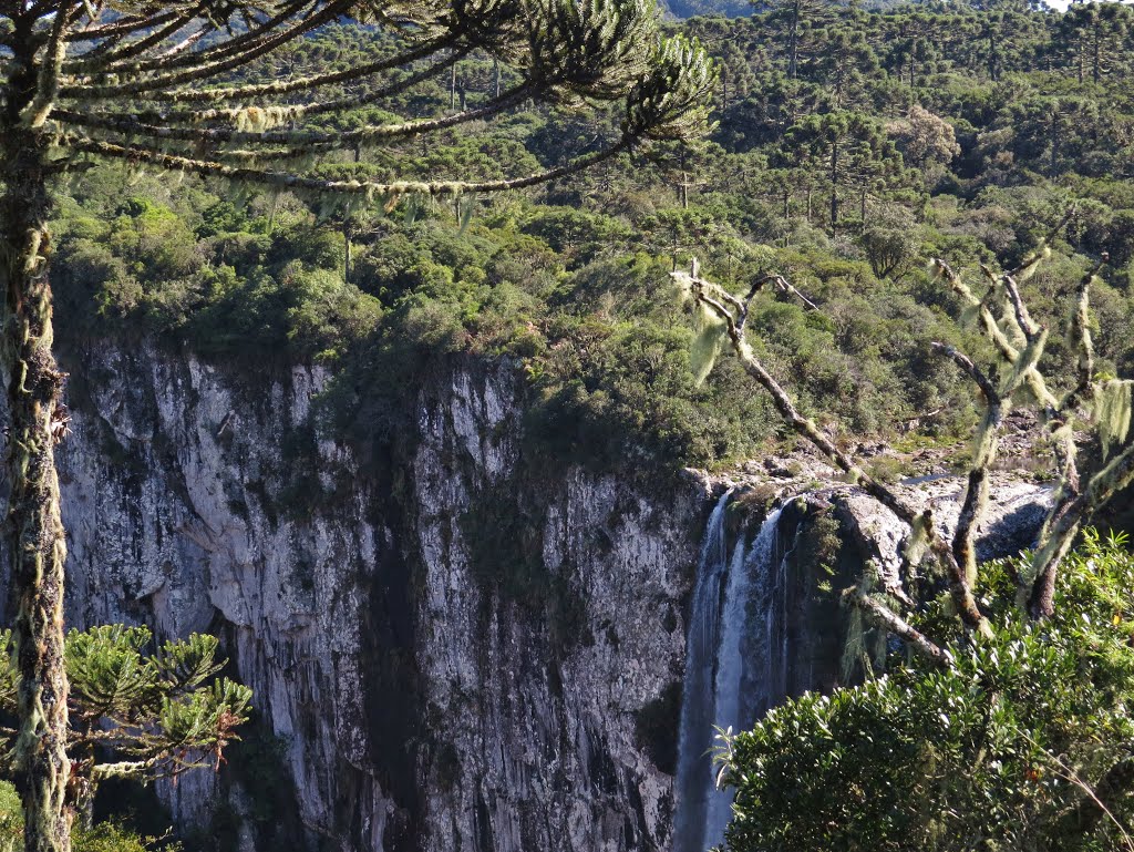 Parque Nacional Aparados da Serra, RS/SC, Brasil. by André Bonacin