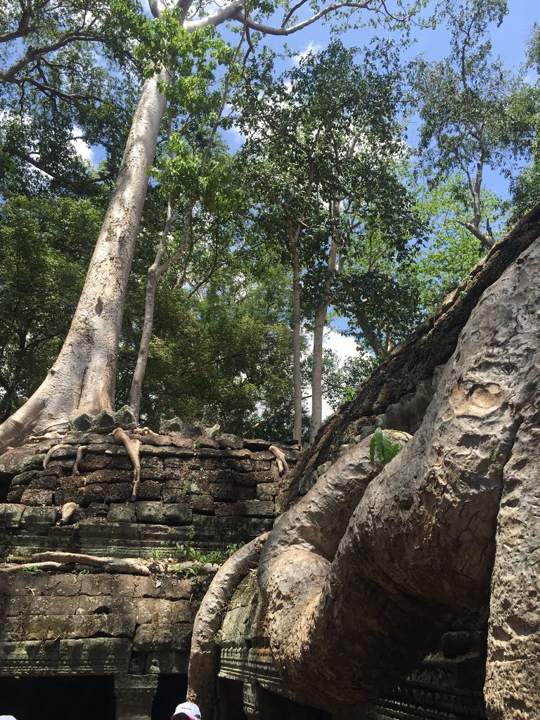 Sangkat Nokor Thum, Krong Siem Reap, Cambodia by trungydang