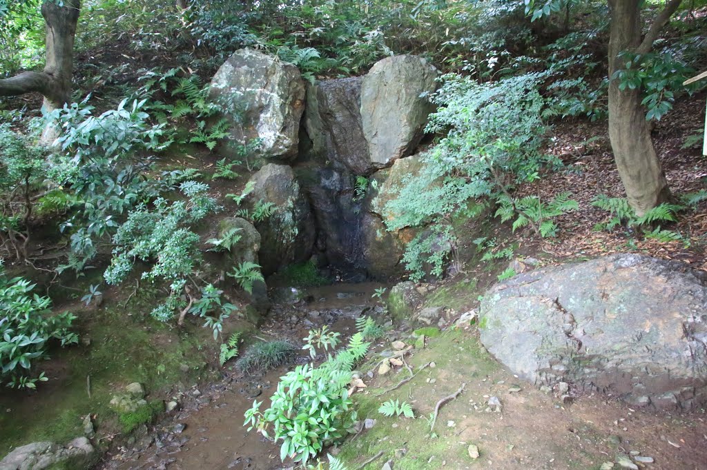 Waterfall of  Seijo by Yuichi Azuma