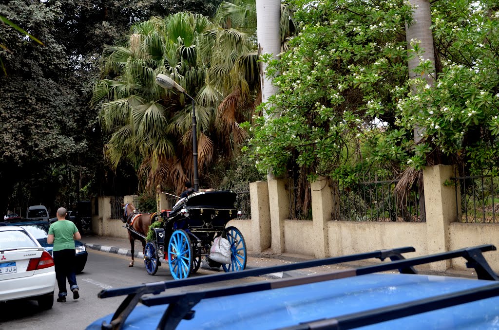 Zamalek, Cairo Governorate, Egypt by Selami Öztürk