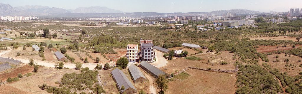 Üniversite'ye Bakış, 2004, Baykan Günay by baykangunay