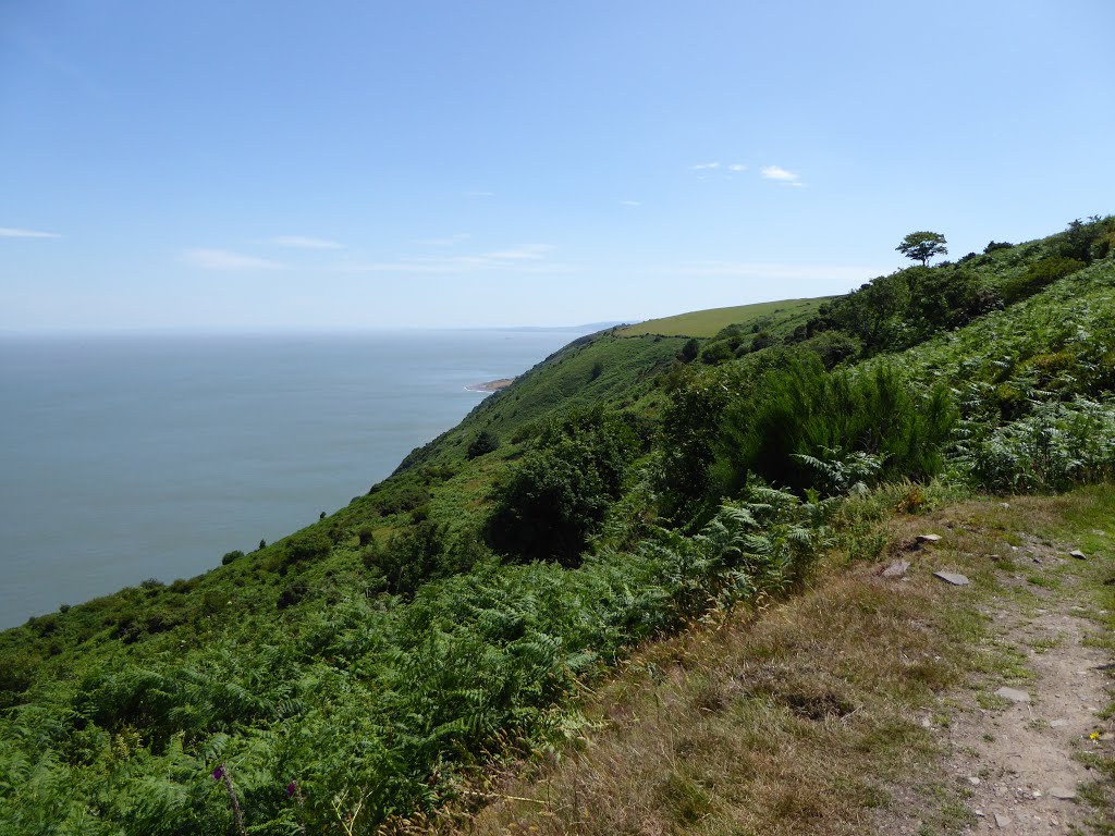 Coast Path. July 2015. by stash.P