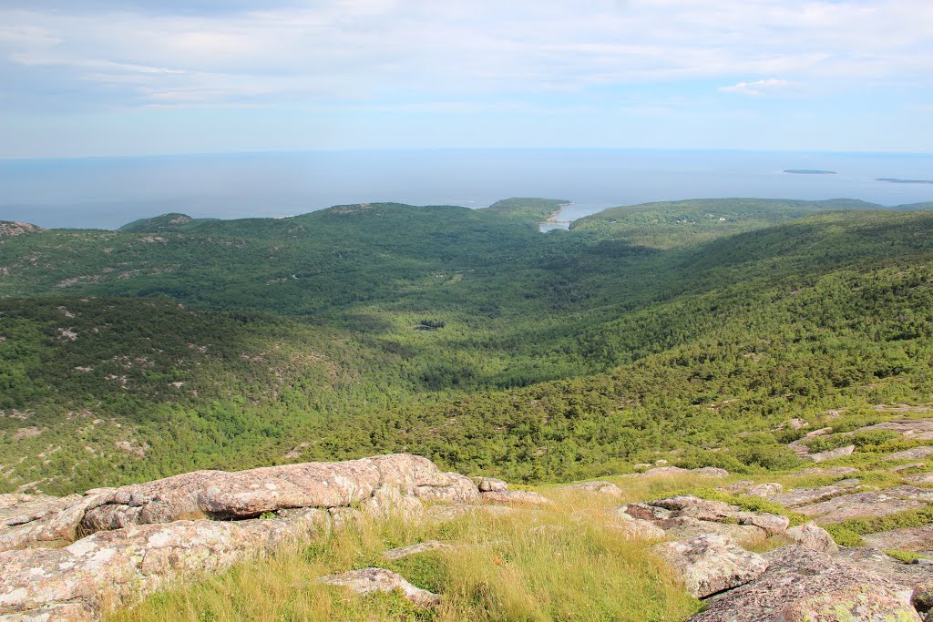 Cadillac Mountain view by Thomson M