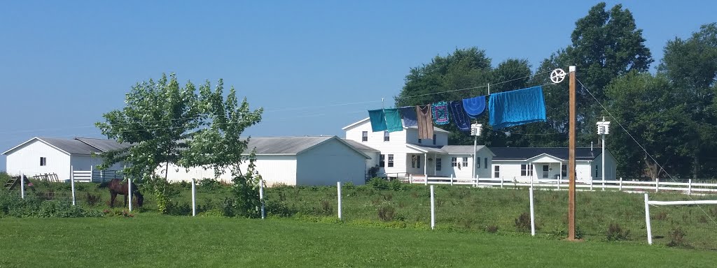 Laundry day. by JB The Milker