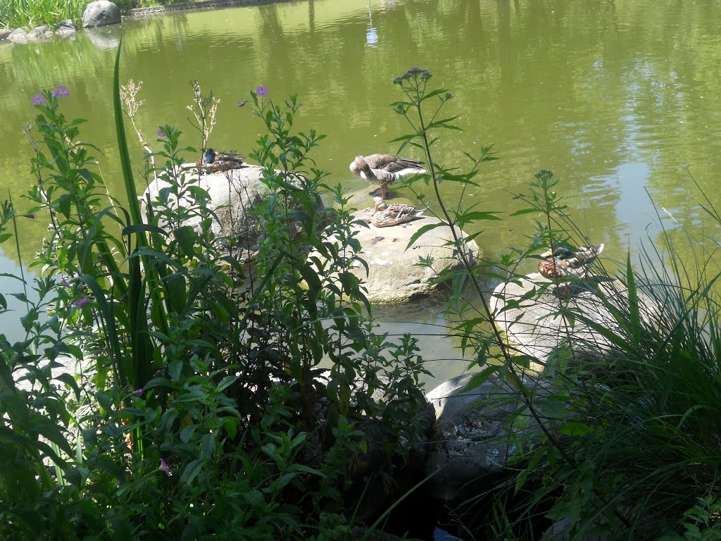 Sendling-Westpark, Munich, Germany by Christoph Rohde