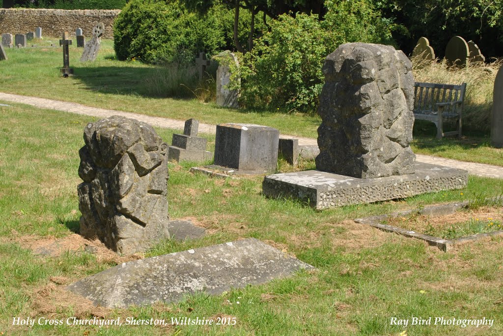 Holy Cross Churchyard, Sherston, Wiltshire (9.7.2015) by Ray Bird