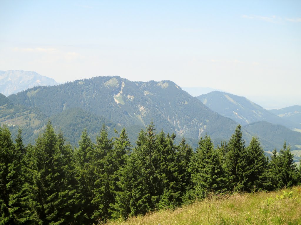 Blick zum Ochsenberg (1487m) by Daniel Gruber