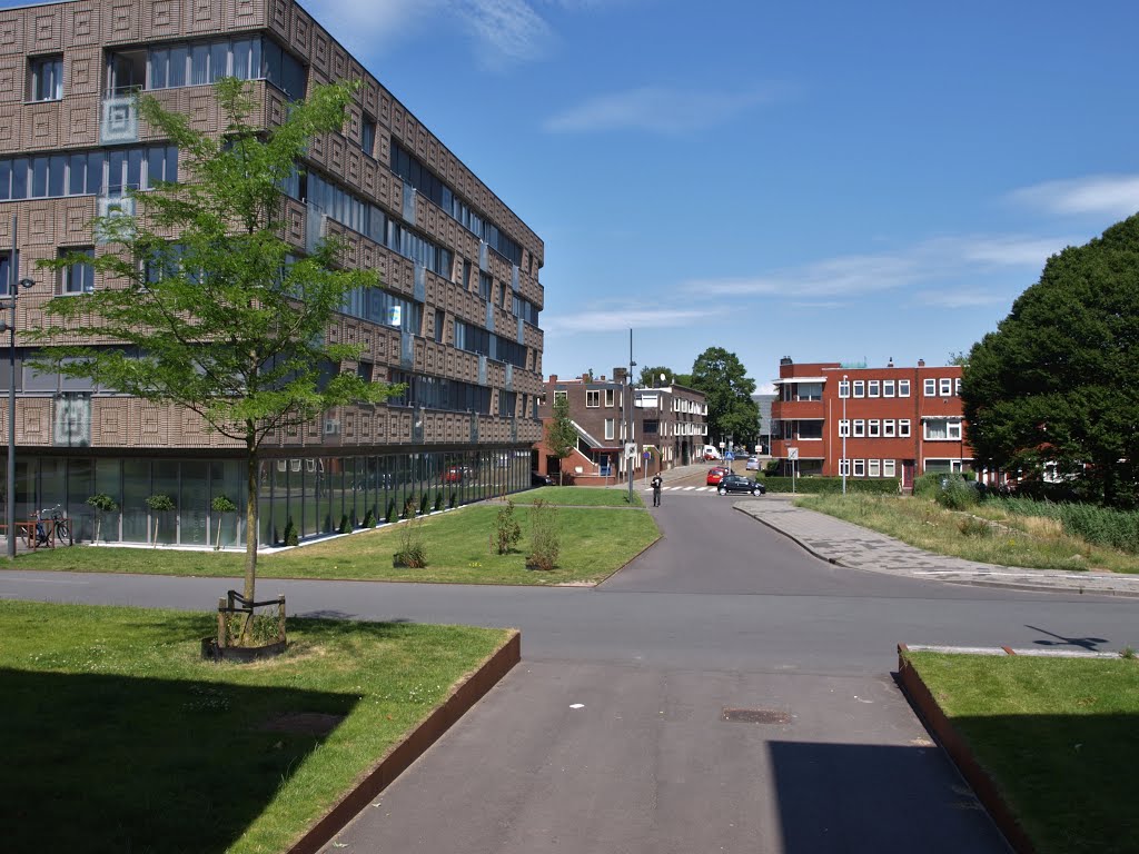 Een Valse Christusdoorn (Gladitsia triacanthos) bij het appartementencomplex "Bloemhof" aan de Bloemsingel in Groningen, ontworpen door Architectenbureau Marlies Rohmer. Op de achtergrond de Singelweg/Oosterhamrikkade hoek Van Kerckhoffstraat. by Hans R. van der Woud…