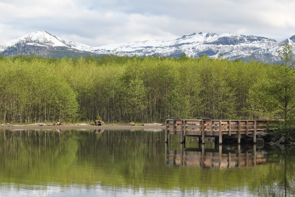 Coldwater Lake by Robert Potter