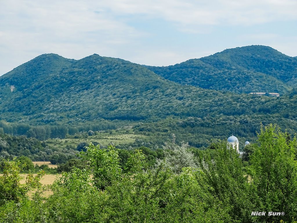 Landscape by Nick Sun