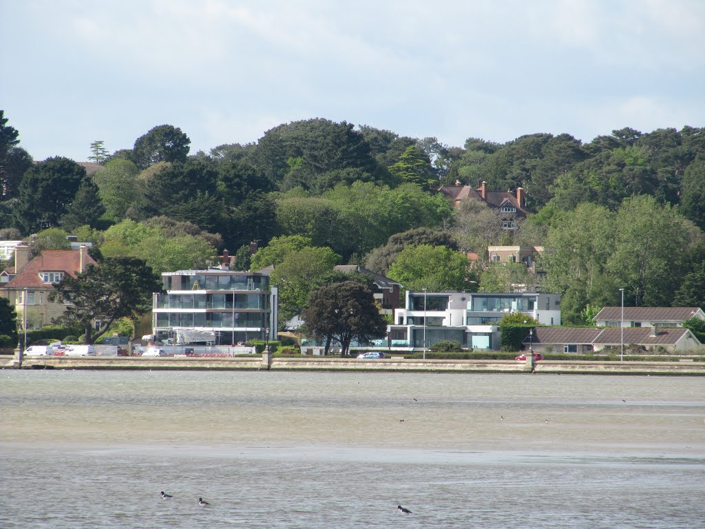 View over Poole Harbour from Shore Road, Poole, Dorset by oldchippy