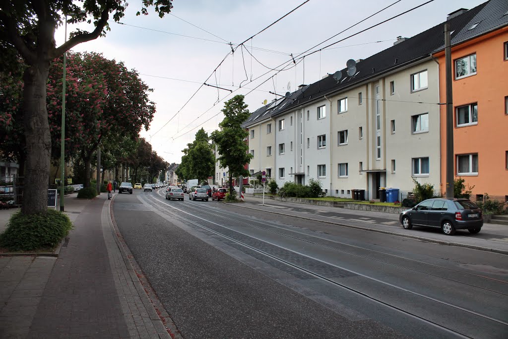 Steeler Str. (Essen-Huttrop) / 21.05.2015 by Daniil Bartholomae