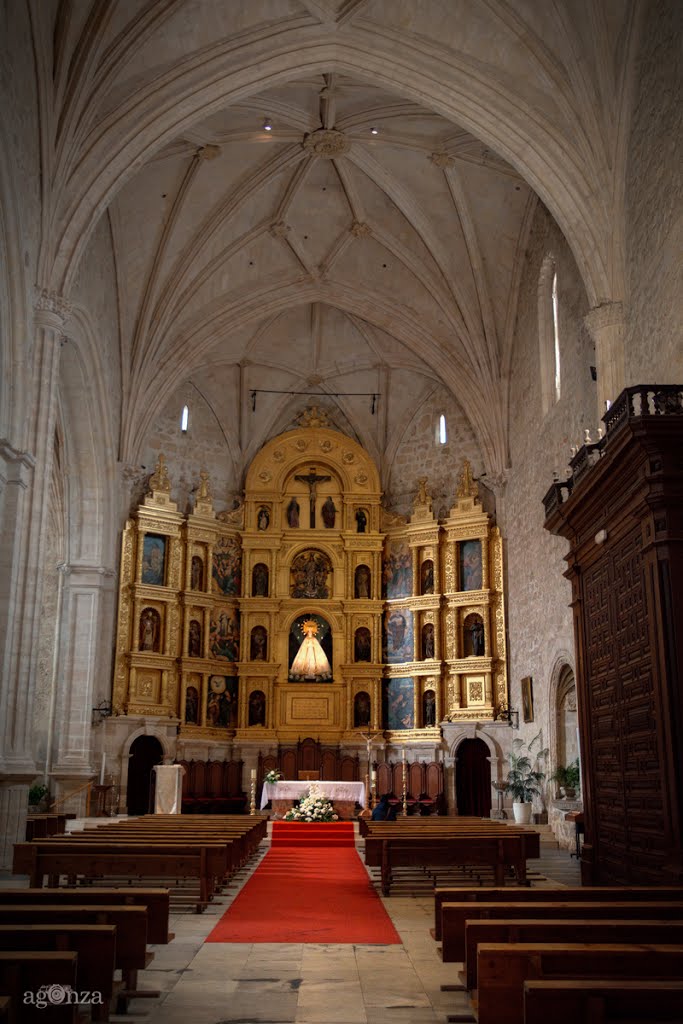 13300 Valdepeñas DO, Ciudad Real, Spain by Ángel González