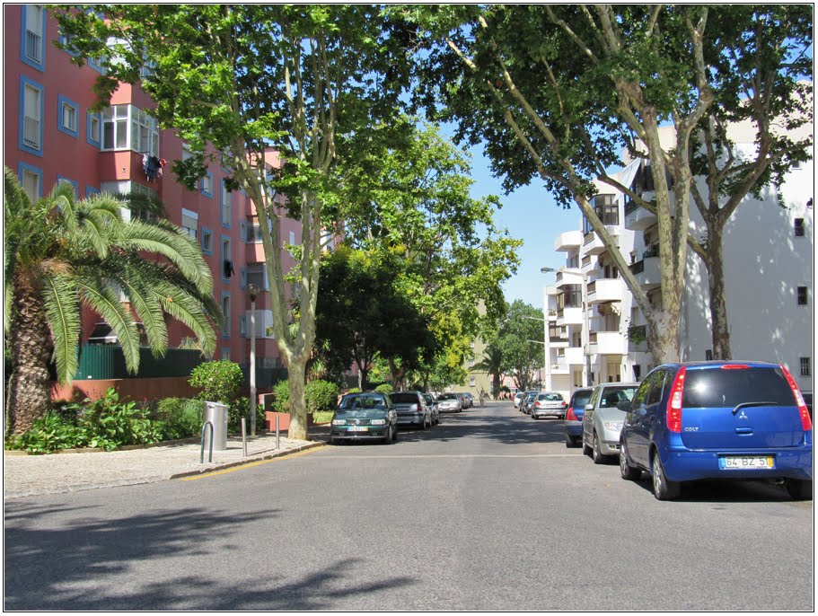 Rua Francisco de Andrade by André Barragon