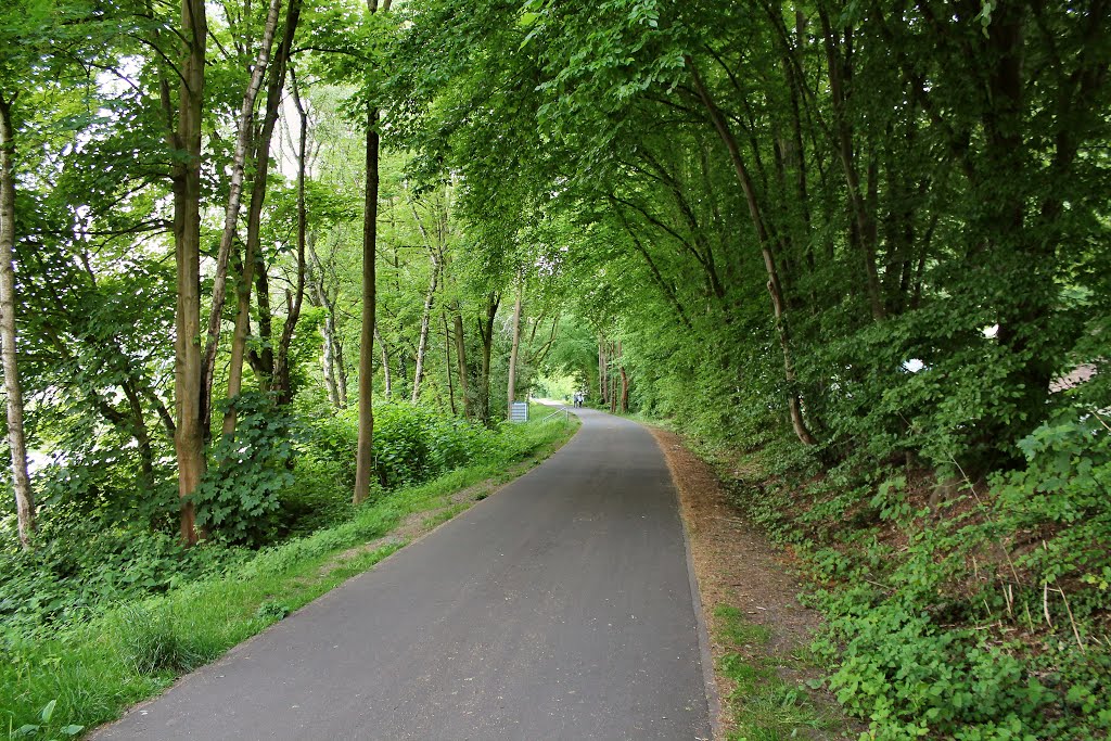 Radweg auf der ehemaligen Bahnstrecke Mülheim-Heißen–Essen-Burgaltendorf (Essen-Bergerhausen) / 21.05.2015 by Daniil Bartholomae