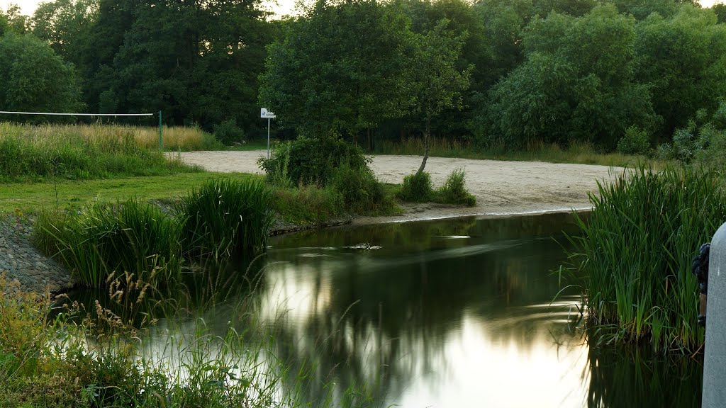 Park w Redzie (Polska-Poland, pomorskie-Pomerania) by Ireneusz Bach