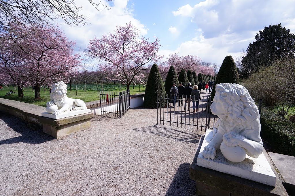 Schlossgarten Schwetzingen by Di Deng