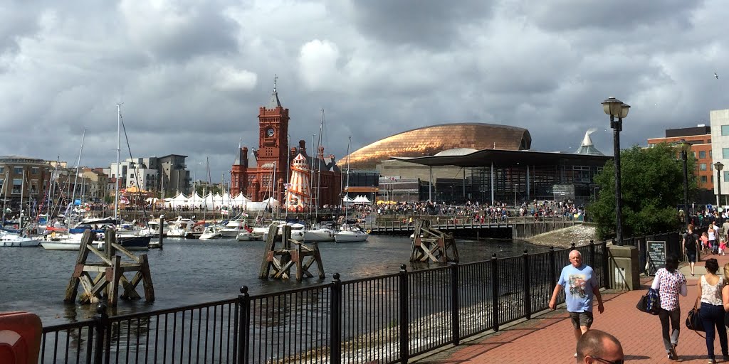 Cardiff Bay by David Owen