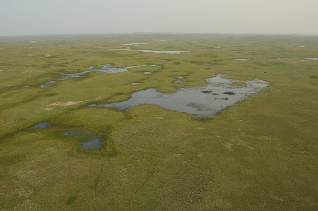 Aerial View, Sandhills Wetland by J Sidle