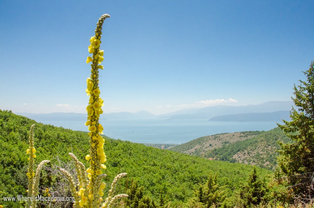 Prespa Lake near Slivnica by WhereIs Macedonia