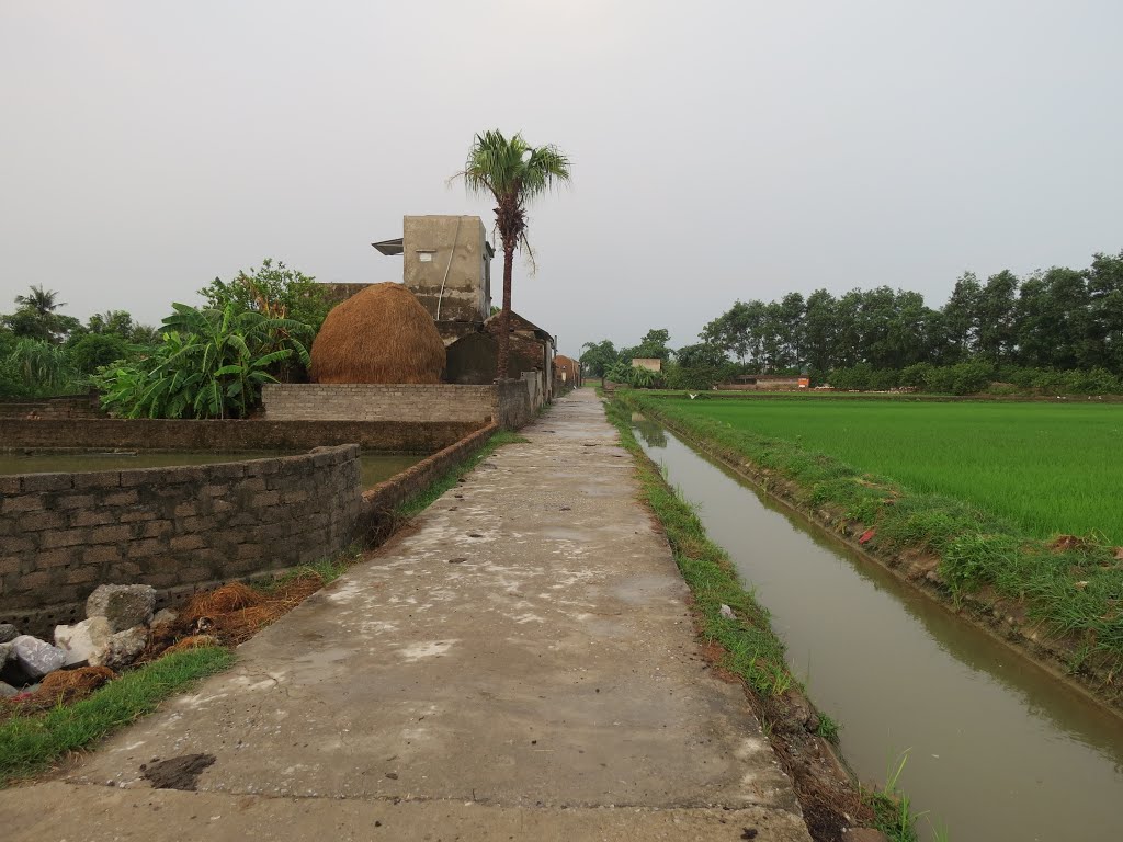 Xóm Nhân, Đông Anh, Đông Sơn, Thanh Hoá, Vietnam by Trần Ngọc Thiệp