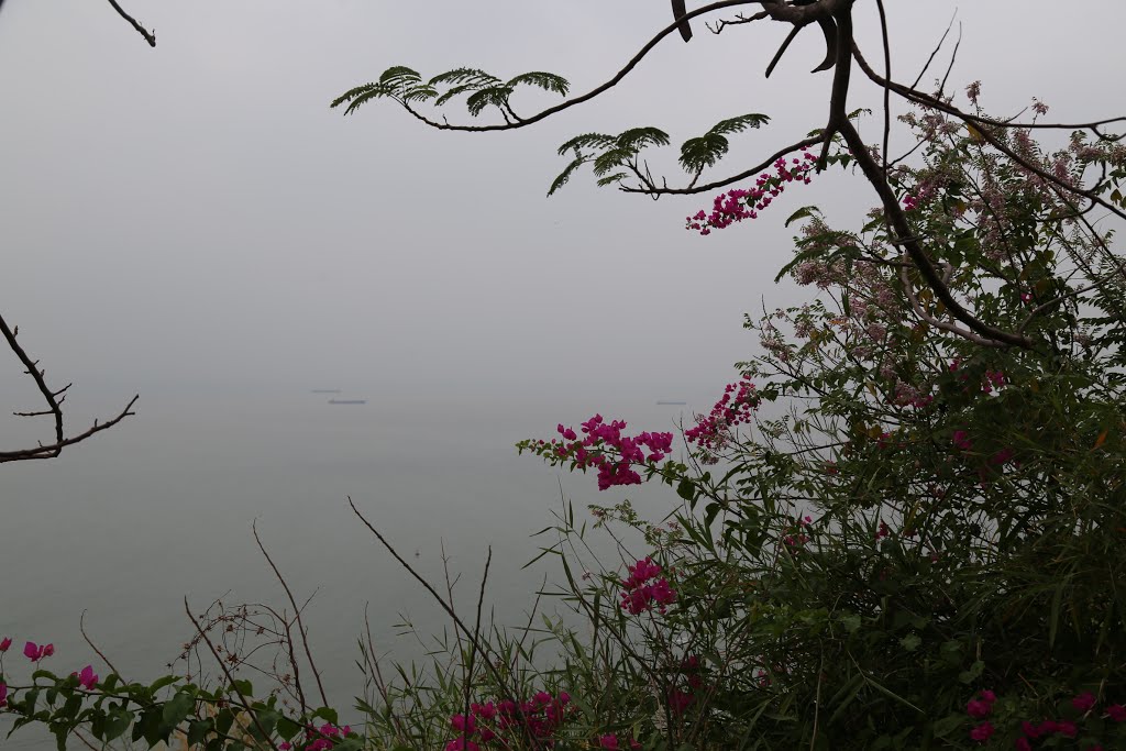 Phường 2, Vũng Tàu, Ba Ria - Vung Tau, Vietnam by Dần Lê