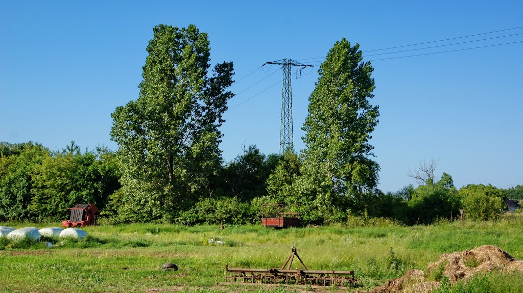 Bierawa Birawa Reigersfeld by Waldemar Koch