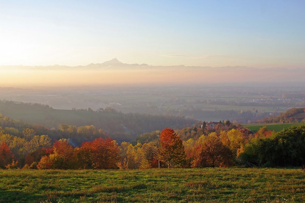 Langhe: Panorama autunnale con il Monviso sullo sfondo-2 - Piemonte - Italia - 2007 - 746 by Italo Carè