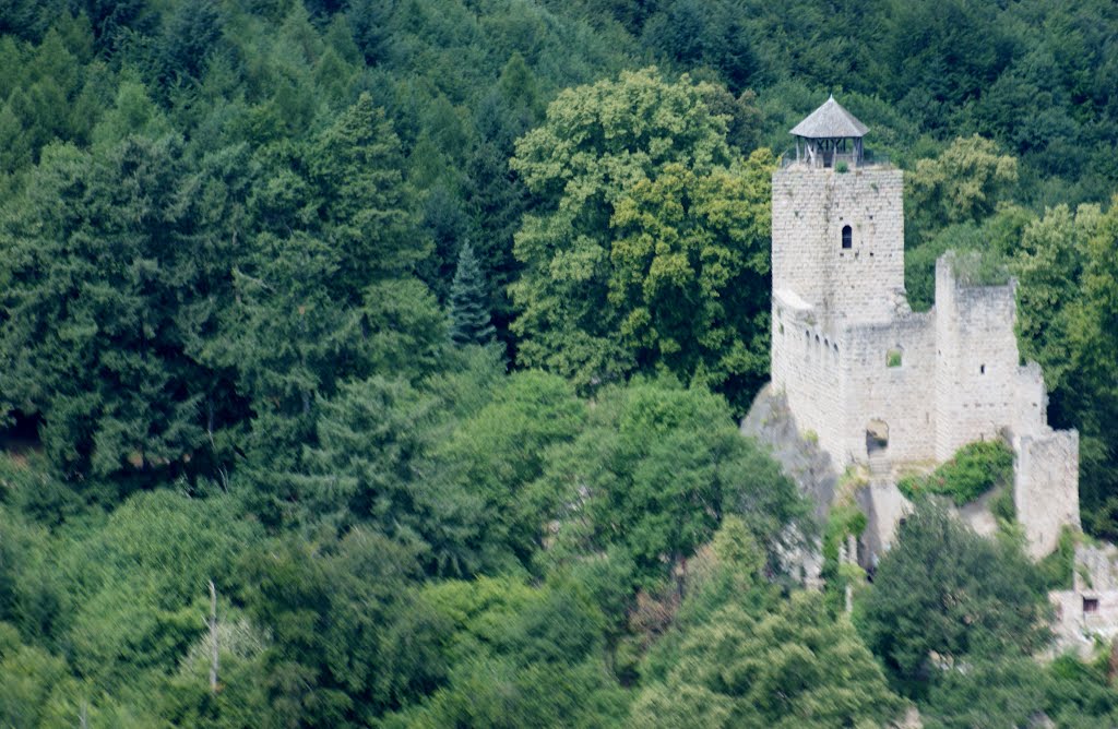 Château du Bernstein ( Vue de l'Hélicoptere ) by frédéric Adam