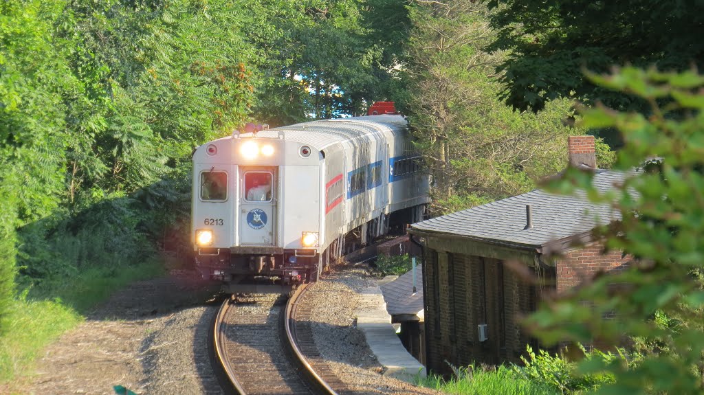 Northbound Metro North/CDOT Train by Joe Stroppel