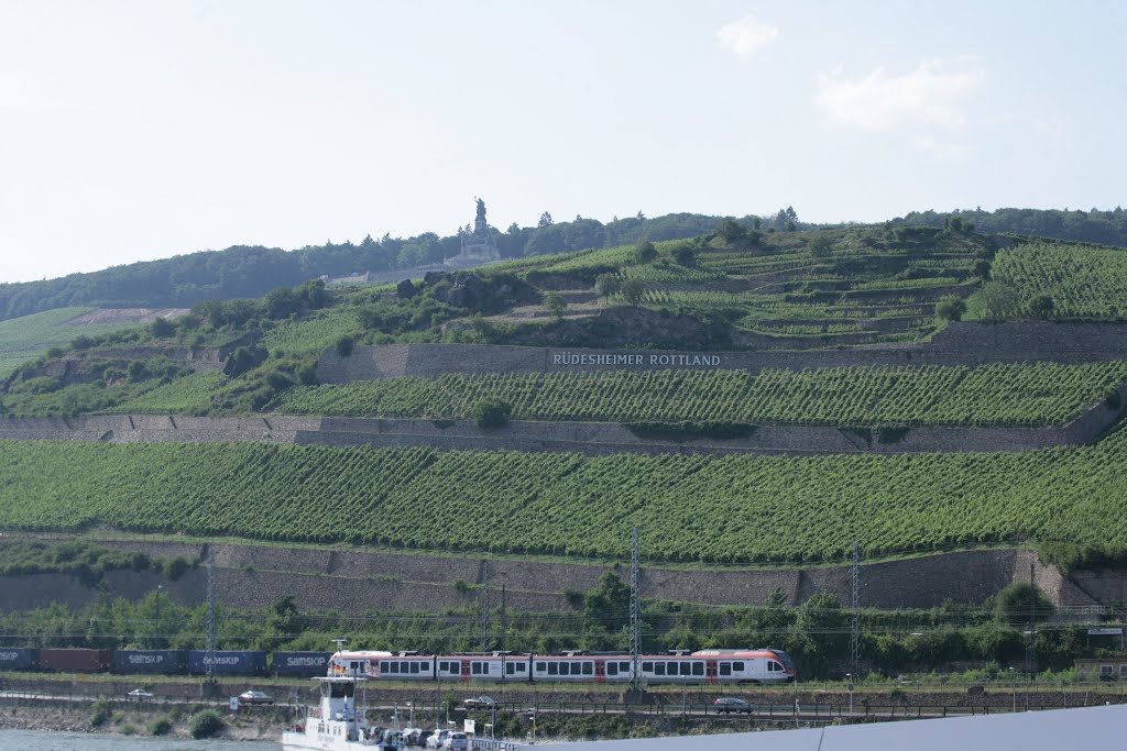 Rüdesheim am Rhein- Germany by Abraham Danot