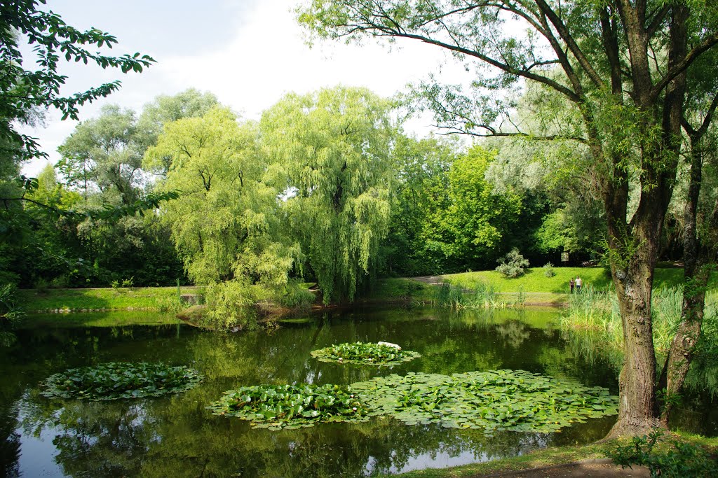 Miejski Ogród Botaniczny w Zabrzu by Shadov Shadovv