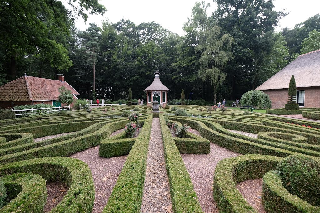 Noordoostelijk van Schaarsbergen, Arnhem, Netherlands by Ben Bender