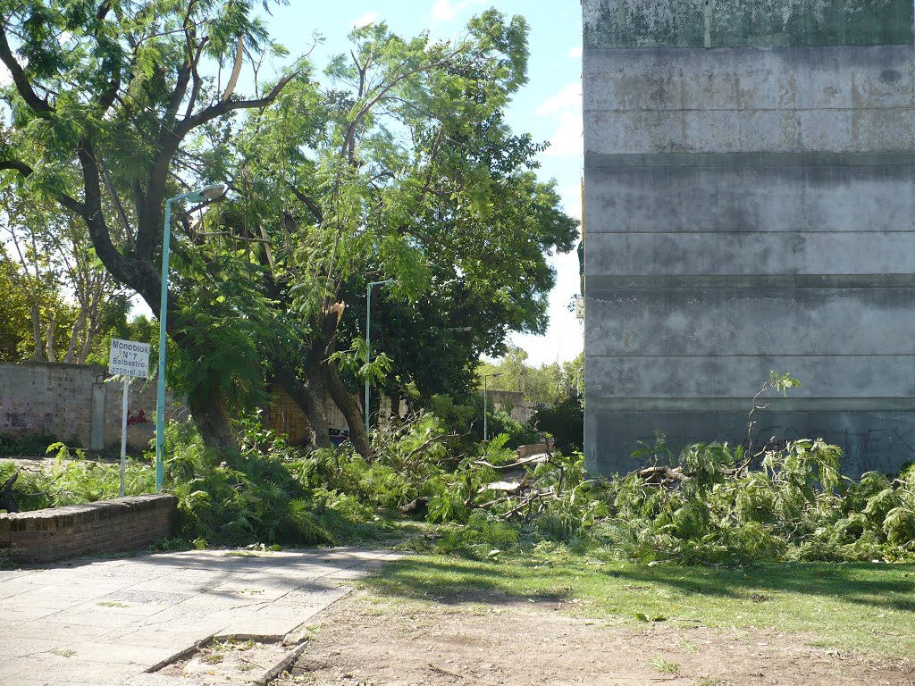 Lo que dejó el tornado (Abril 2012) by Violencia es mentir