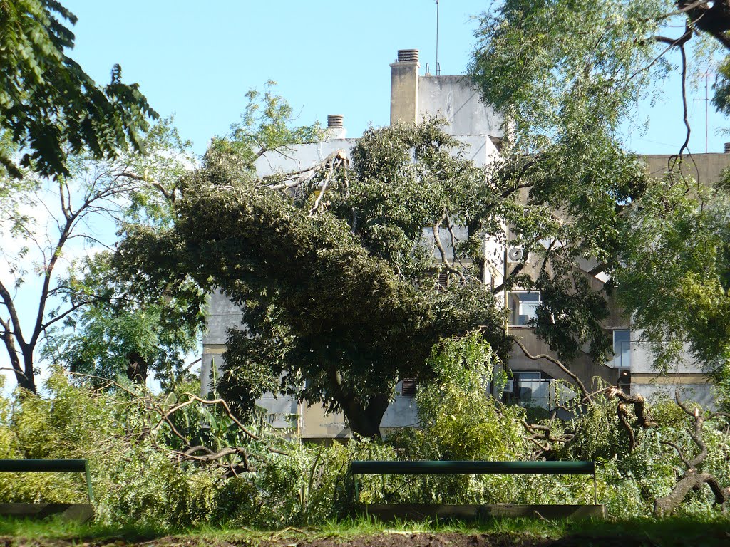 Lo que dejó el tornado (Abril 2012) by Violencia es mentir