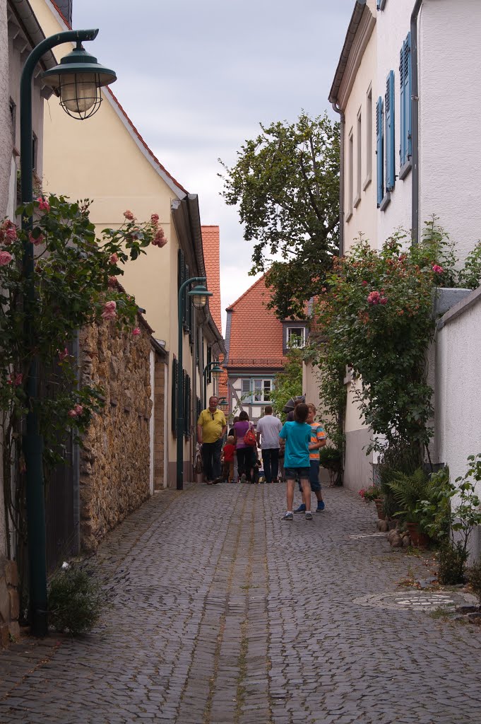 Hochheim am Main, Germany by Der SIGGY