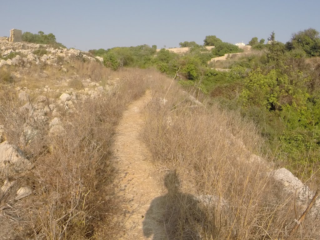 Zurrieq, Malta by Alan C. Bonnici