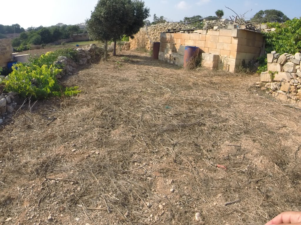 Zurrieq, Malta by Alan C. Bonnici