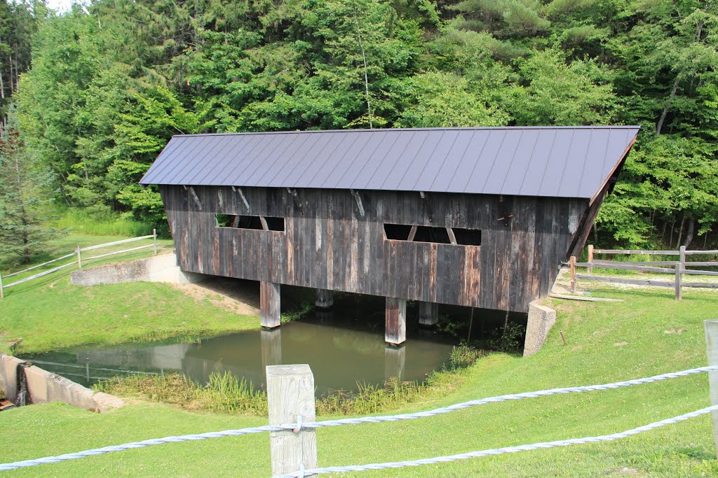 Waterbury covered bridge by Thomson M