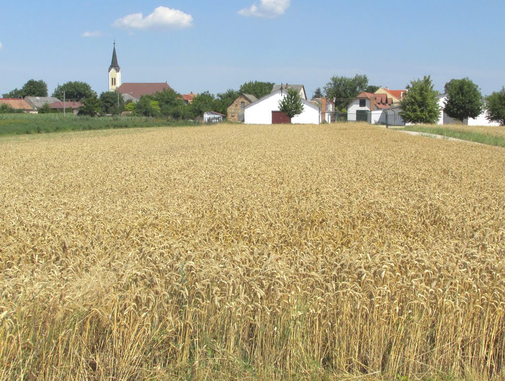 201507121429 Szőny, az Ifjuság út melletti látkép, egy mezei dűlőút felől by Harmadik