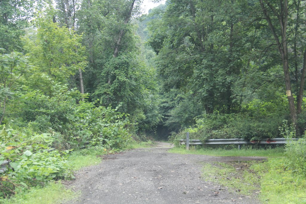 Honan ave community hiking biking trail by Ron Shawley