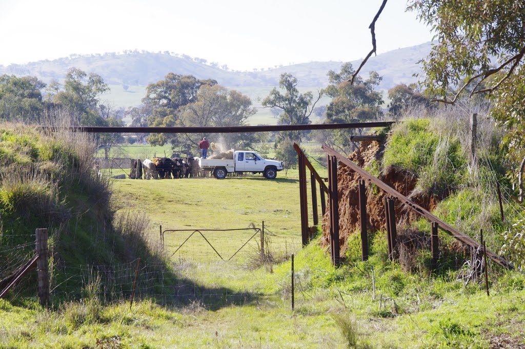 The bridge is long gone but the rail line is still hanging in! by James Vickers