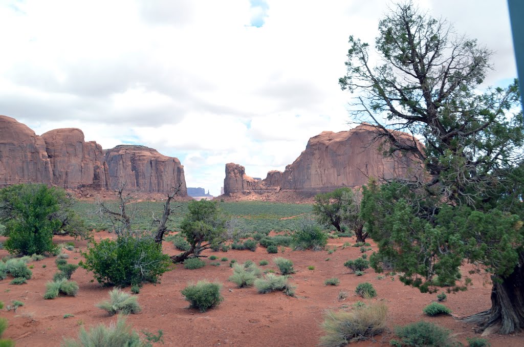 Navajo County, AZ, USA by erminio gennari