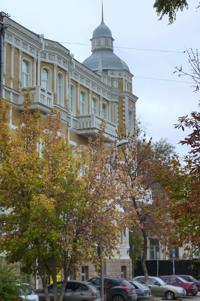 Ростов-на-Дону, ул. Пушкинская / Rostov-on-Don, st. Pushkinskaya by Sergey Kreps