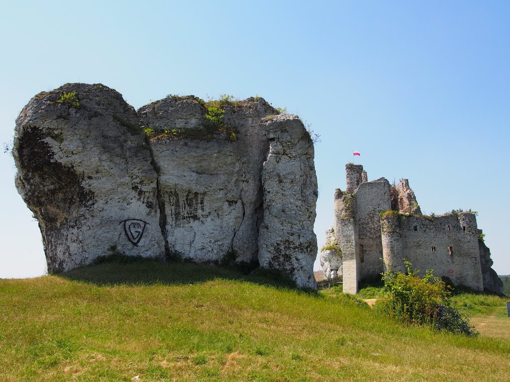 Zamek Mirów by paweł drożdżal