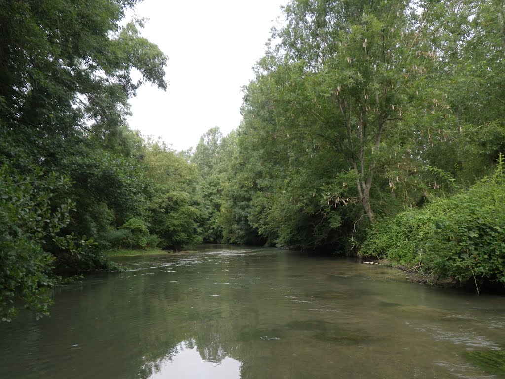 Petit tour en canoë sur le MELDA - 13/07/2015 - RT by Storm Chaser 10 - Th…