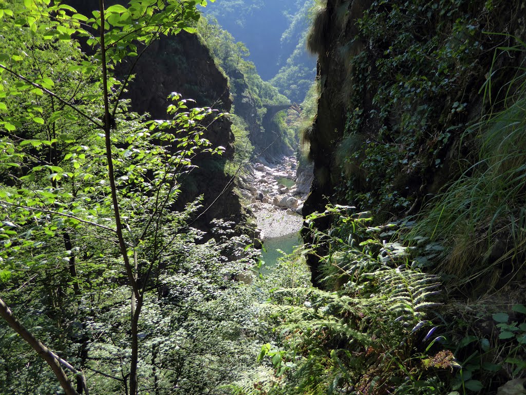 Il Ponte Casletto, dalla passerella fra il primo ed il secondo tunnel. Valgrande, 12 luglio 2015 by Marco Carnelli